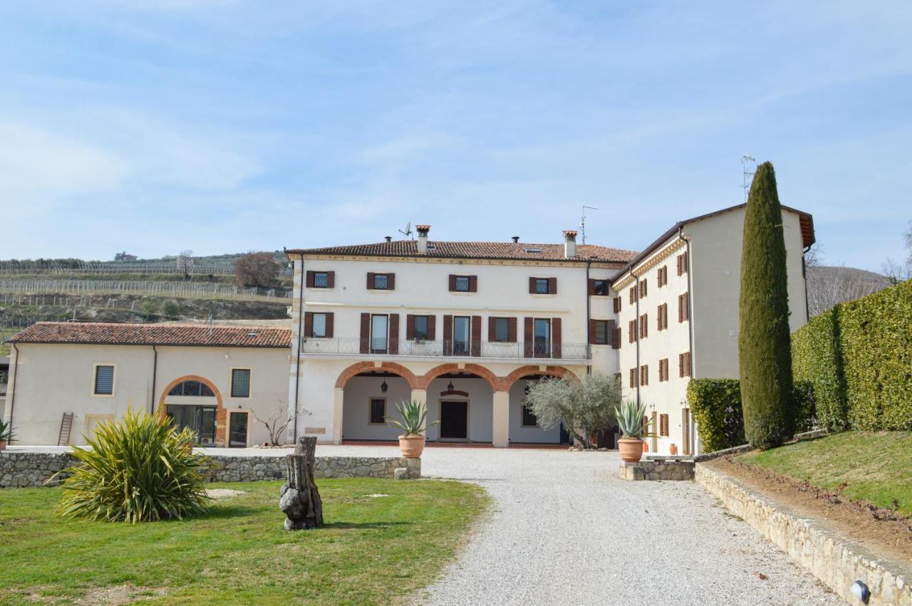Verdeolivo 1876 - Apartments & Pool Mezzane di Sotto Exterior foto